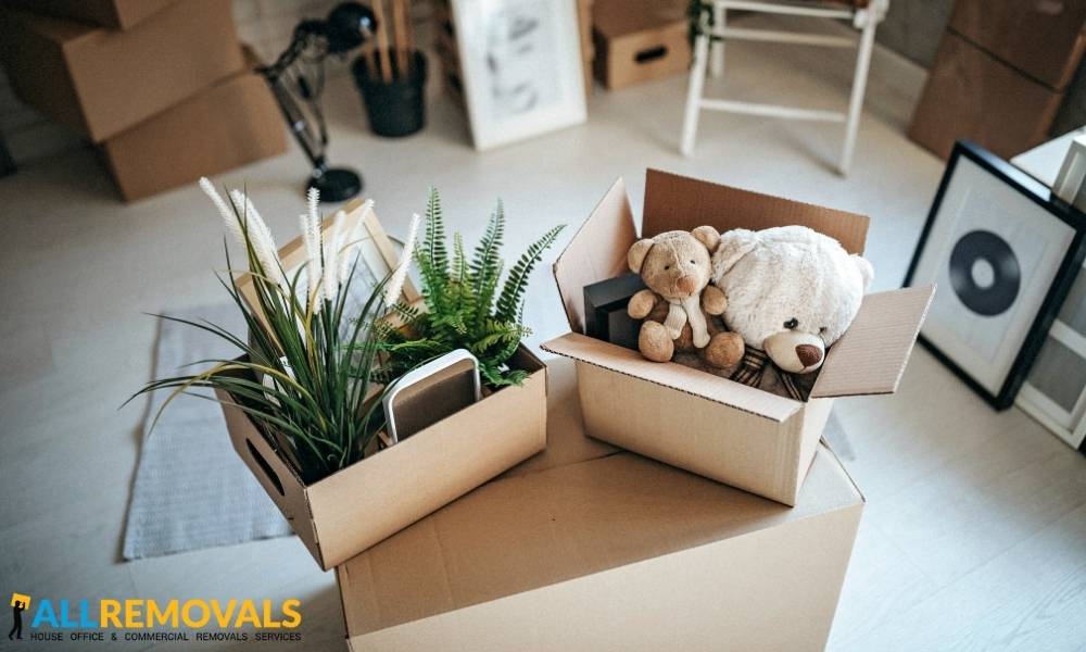 Office Removals ballinakill - Business Relocation