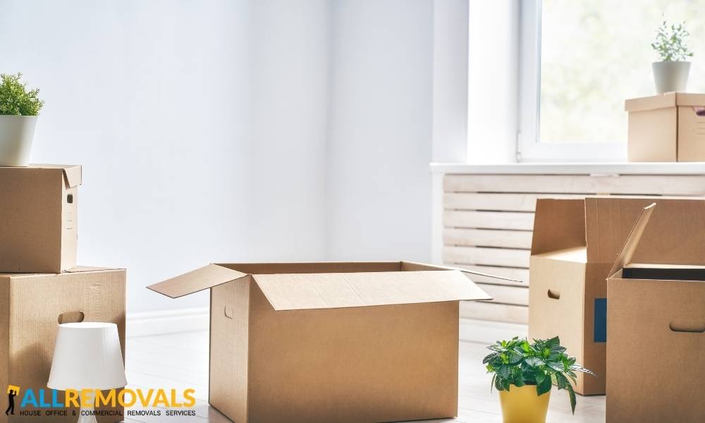 Office Removals ballybrophy - Business Relocation