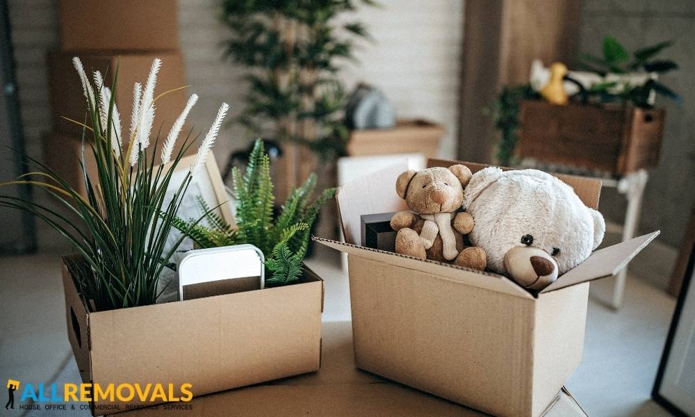 house removals ahascragh - Local Moving Experts